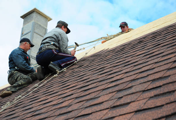 Best Flat Roof Repair Services  in Clarksville, VA