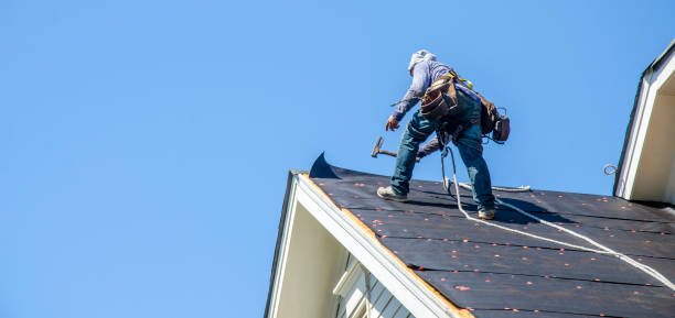 Best Roof Maintenance Services  in Clarksville, VA